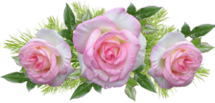 roses-4225943_960_720 