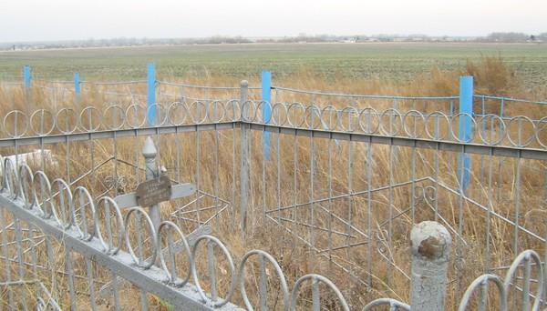 Александровка херсонская. Александровка Широковский район. Днепропетровская область Широковский район село Александровка. Александровка (Херсонский район). Городоватка Широковский район.